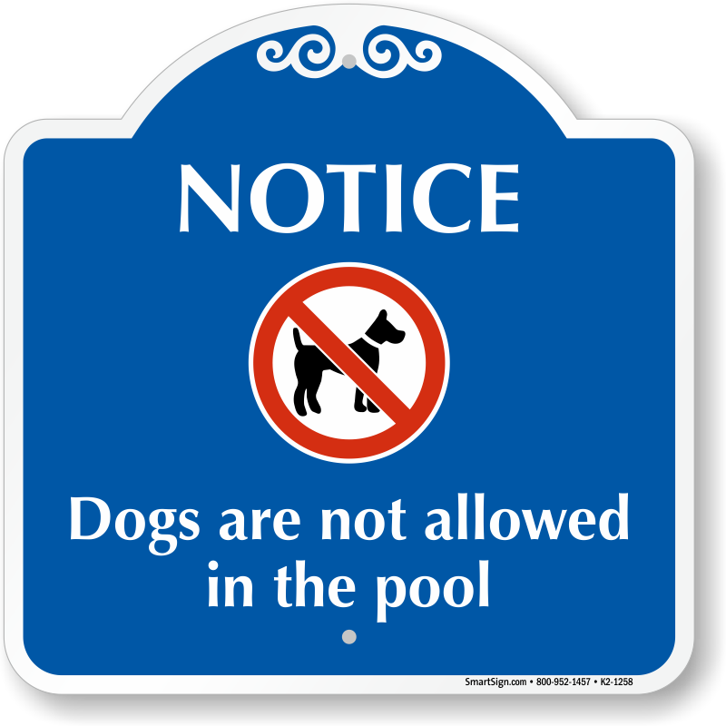 are dogs allowed at blue pool